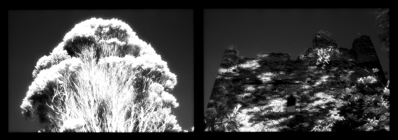 Enchiridion Perpetua,  6"x13" archival inkjet print : Enchiridion Perpetua : Shauna Church