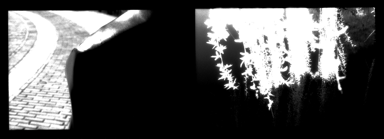 Enchiridion Perpetua.  6"x13" archival inkjet print : Enchiridion Perpetua : Shauna Church