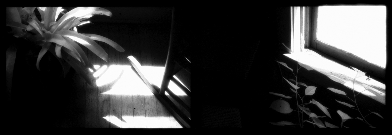 Enchiridion Perpetua,  6"x13" archival inkjet print : Enchiridion Perpetua : Shauna Church