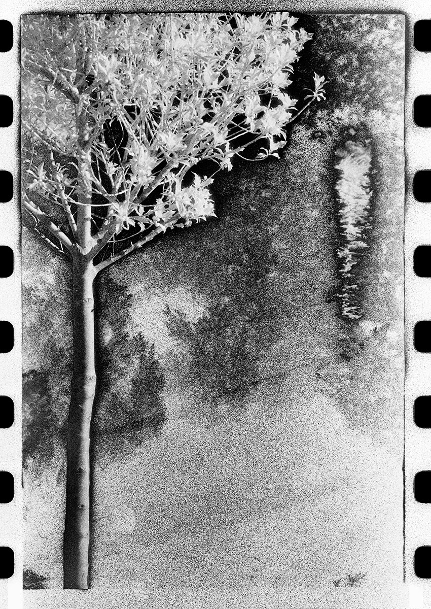 CHIMINAGE VIRGA 
Archival Pigment Print
16" x 20"
Edition of 7 : Solo : Shauna Church