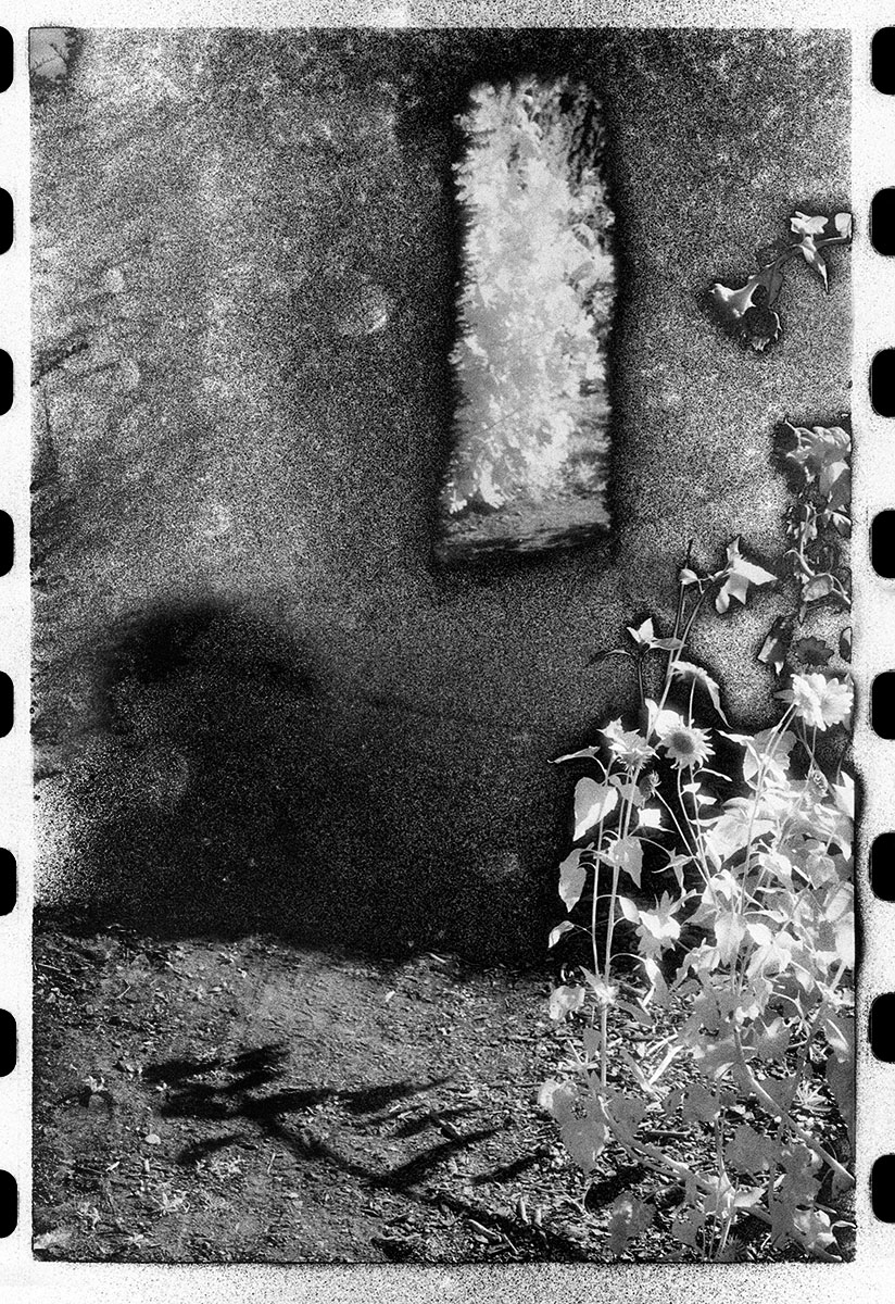 DETRITUS SUBTOPIA
Archival Pigment Print
16" x 20"
Edition of 7 : Solo : Shauna Church