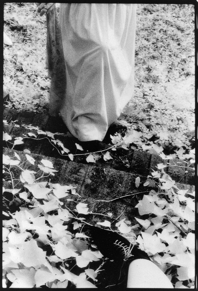 Attack of the Witch Hag, 
Card Set 4, 
5x7" selenium fiber print : Attack of the Witch Hag : Shauna Church
