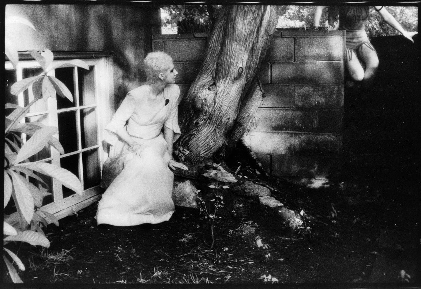 Attack of the Witch Hag, 
Card Set 2, 
5x7" selenium fiber print : Attack of the Witch Hag : Shauna Church