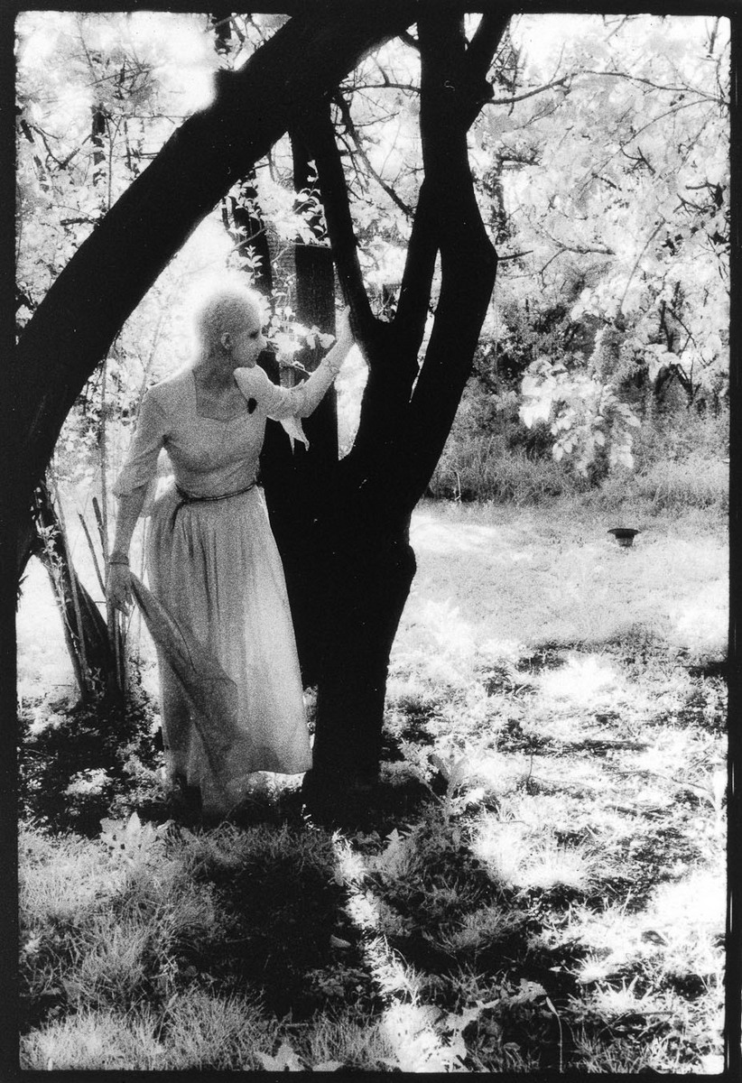 Attack of the Witch Hag, 
Card Set 1, 
5x7" selenium fiber print : Attack of the Witch Hag : Shauna Church