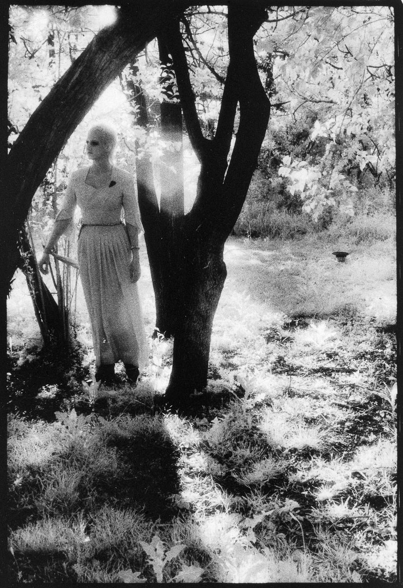 Attack of the Witch Hag, 
Card Set 1, 
5x7" selenium fiber print : Attack of the Witch Hag : Shauna Church