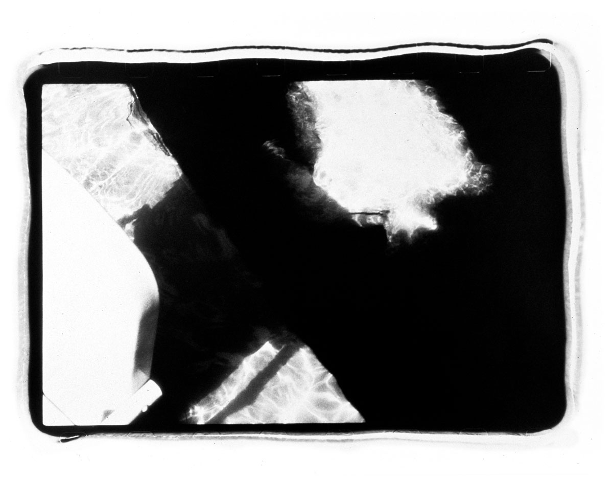 Ambisextrous Nympholepsy, 3 in series of 7, 16 x 20" selenium fiber print : Ambisextrous Nympholepsy : Shauna Church