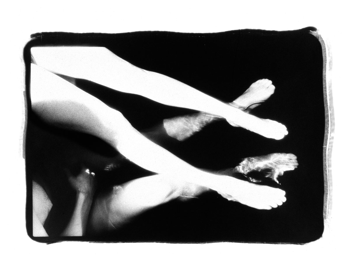 Ambisextrous Nympholepsy, 5 in series of 7, 16 x 20" selenium fiber print : Ambisextrous Nympholepsy : Shauna Church
