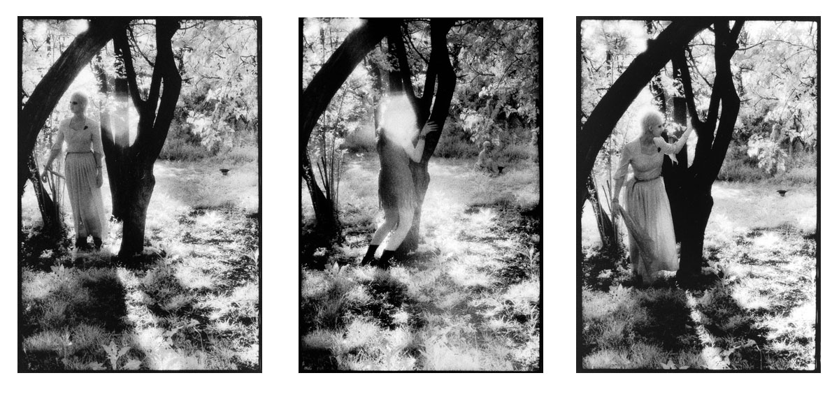 Attack of the Witch Hag,
Card Set 1,
5x7" selenium fiber prints : Attack of the Witch Hag : Shauna Church