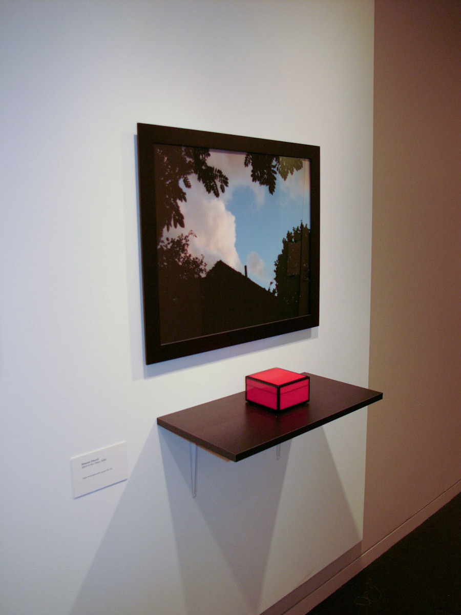 Wind in the Trees,
Exhibition Installation,
Framed C print with enamel box of 16 prints : Wind in the Trees : Shauna Church