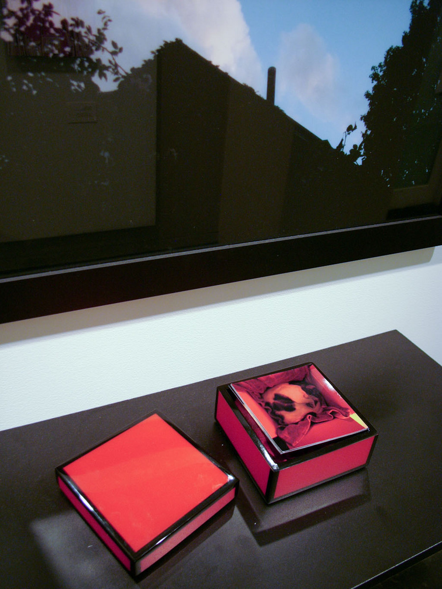 Wind in the Trees,
Exhibition Installation,
detail of print with open box : Wind in the Trees : Shauna Church