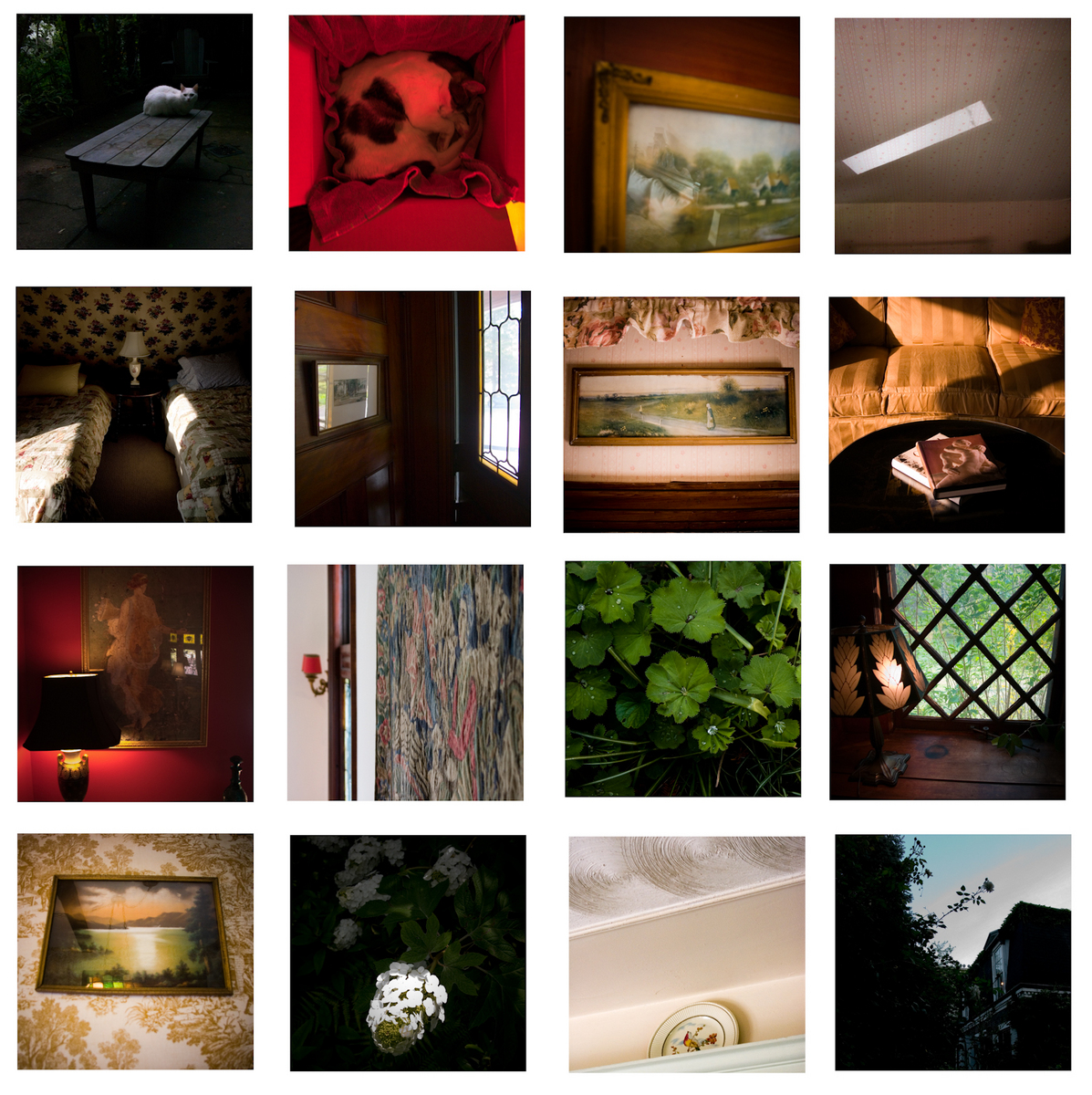 Wind in the Trees,
set of 16 individual
5x5" Digital C prints,
enclosed in enamel box : Wind in the Trees : Shauna Church